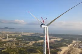 Một cá nhân chi gần 30 tỷ để thành cổ đông lớn tại Trường Thành Group