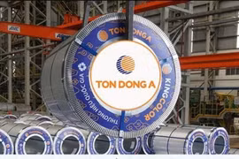 Tôn Đông Á thông qua kế hoạch rời UPCoM lên HoSE