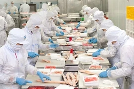 Ông trùm cá tra Nam Việt báo lãi quý 2 tăng gấp trăm lần lên 332,8 tỷ đồng