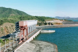 Công ty Cổ phần Kỹ thuật T&H trúng thầu tại Thủy điện Ialy: Đối thủ bỏ giá thấp hơn vẫn bị loại