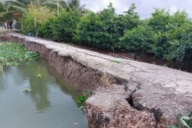 Ngọc Vịnh dồn dập trúng thầu trong nửa đầu năm 2025