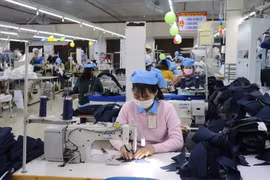 “Vua cổ tức” ngành dệt may Phan Thiết nhận án phạt gần 2,8 tỷ đồng