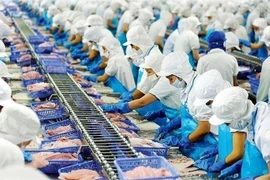 Bất chấp thuế Mỹ, “nữ hoàng cá tra” Vĩnh Hoàn lãi vọt 33% quý 3