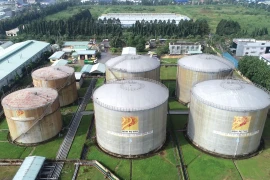 Dầu khí Nam Sông Hậu bị xử phạt giữa khủng hoảng tài chính