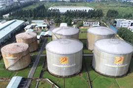 Dầu khí Nam Sông Hậu bị xử phạt giữa khủng hoảng tài chính