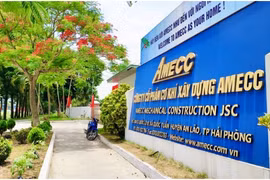 AMECC bị phạt hàng trăm triệu giữa lúc lợi nhuận lao dốc gần 50%