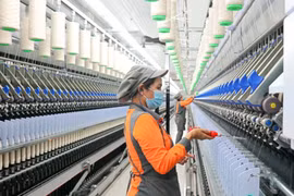 Sợi Thế Kỷ bị truy thu, phải nộp bồi hoàn thuế hơn 444 triệu đồng