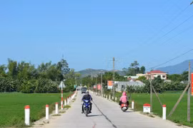 Đồng Tháp: Gói thi công đường nội đồng ở Bình Phú đã nhà thầu thi công