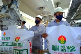 DCM sắp chia cổ tức 20% tiền mặt