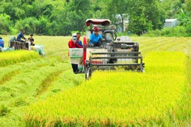 Hậu Giang: Trương Thành Căn trúng gói vật tư VietGAP tại Vị Thủy 