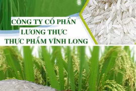 Thực phẩm Vĩnh Long dính án phạt nặng giữa lúc cổ phiếu bị hạn chế giao dịch