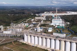 Thúc đẩy chuỗi Bauxite - Alumin - Nhôm giúp Lâm Đồng bứt phá kinh tế năm 2026
