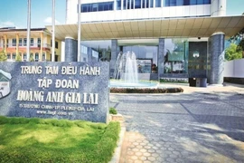 HAGL muốn niêm yết 2 công ty con, mở rộng 10.000 ha cà phê: Liệu có quá sức?