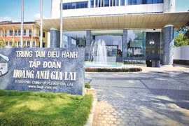 HAGL muốn niêm yết 2 công ty con, mở rộng 10.000 ha cà phê: Liệu có quá sức?