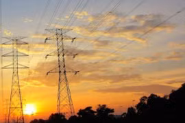 Dồn dập trúng thầu cuối năm 2025: Bài toán áp lực của Công ty Green Life [Kỳ 3] 