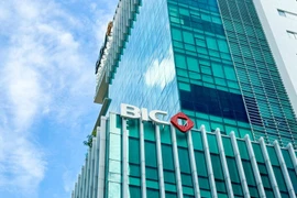 Cổ đông BIC hưởng lợi kép: Cổ tức tiền mặt và cổ phiếu thưởng cùng lúc