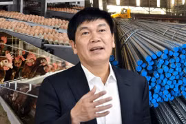 Nông nghiệp Hòa Phát lãi sau thuế 1.300 tỷ đồng trước thềm IPO