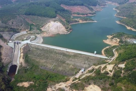 Dự án CTTL Đắk D'rông: "Một mình một ngựa" và hành trình trúng thầu sau khi phải "làm rõ" hồ sơ