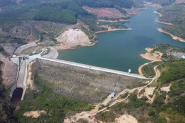 Dự án CTTL Đắk D'rông: "Một mình một ngựa" và hành trình trúng thầu sau khi phải "làm rõ" hồ sơ