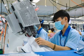 UBCKNN đình chỉ kiểm toán viên ký BCTC 2024 của Garmex Sài Gòn