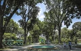 Gói thầu Thảo Cầm Viên: Vì sao 4/5 nhà thầu bị loại từ “vòng gửi xe”?