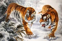 Vận đổi chiều: 3 tuổi qua Qúy Mão viên mãn, tiền bạc rủng rỉnh