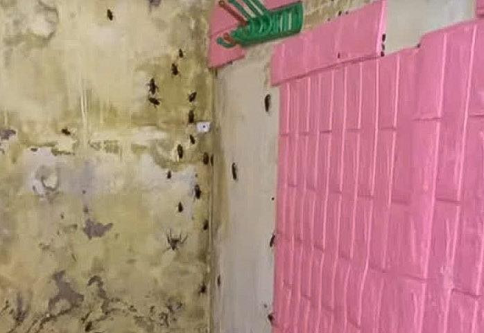 Tủ lạnh trong phòng vẫn cắm điện, mở ra còn đồ ăn bên trong và đã bốc mùi. Không chỉ thế, giường, đệm mốc ố bẩn, lật lên đầy giòi bọ, gián.