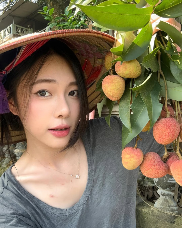 Mạng xã hội mới đây đang "rần rần" trước những tấm ảnh selfie của một cô gái bên vườn vải quê. Loạt ảnh nhanh chóng trở nên viral không chỉ bởi khung cảnh bình dị, đẹp như tranh vẽ mà còn bởi nhan sắc mộc mạc, gần gũi của cô gái đã "đốn tim" biết bao người xem.