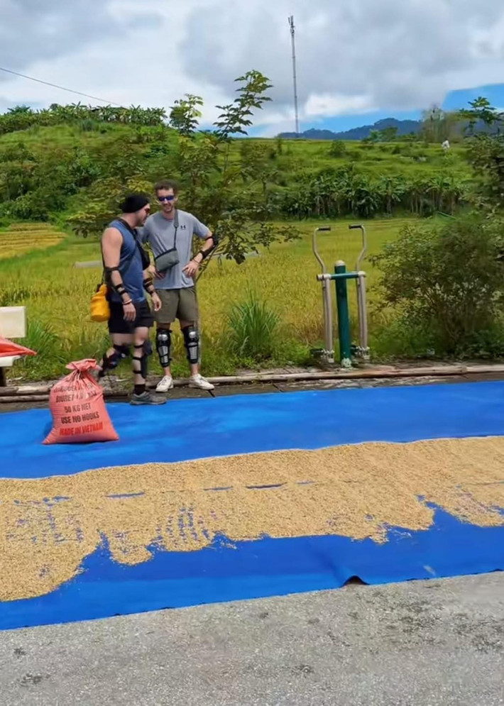 Họ diện trang phục năng động, mang theo các thiết bị bảo hộ chân tay, và hào hứng xới thóc trên tấm bạt xanh rộng lớn dưới ánh nắng mặt trời. Thậm chí, một du khách nam còn vác bao lúa trên dưới 50kg trên vai, thể hiện sự nhiệt tình và mong muốn được trải nghiệm trọn vẹn cuộc sống của người dân địa phương.