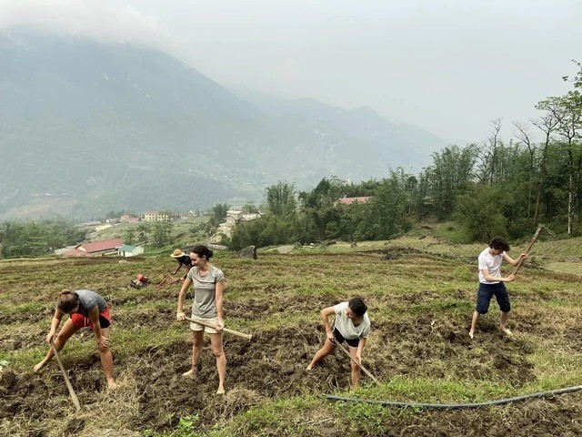 Trước đó, hình ảnh tương tự cùng từng được mạng xã hội chia sẻ rộng rãi, khi nhiều du khách Tây hòa mình vào cuộc sống chân thực của người dân khi không ngần ngại xuống ruộng, cuốc đất, trồng trọt.