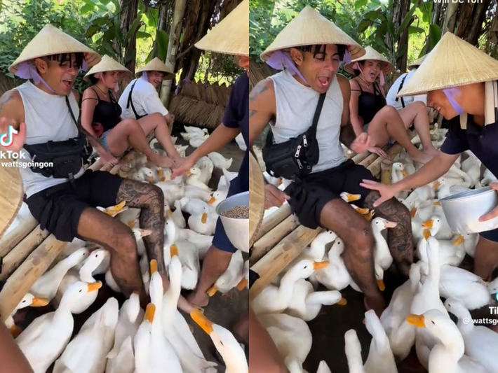 Thời gian gần đây, bên cạnh du lịch tham quan, du lịch nghỉ dưỡng, nhiều du khách Tây lựa chọn mô hình du lịch trải nghiệm, khi họ cùng được sống, sinh hoạt như người bản địa thực thụ. Chính những điều này cũng làm nên nét đặc biệt cho du lịch những địa danh vùng cao của Việt Nam như Hà Giang, Lào Cai.