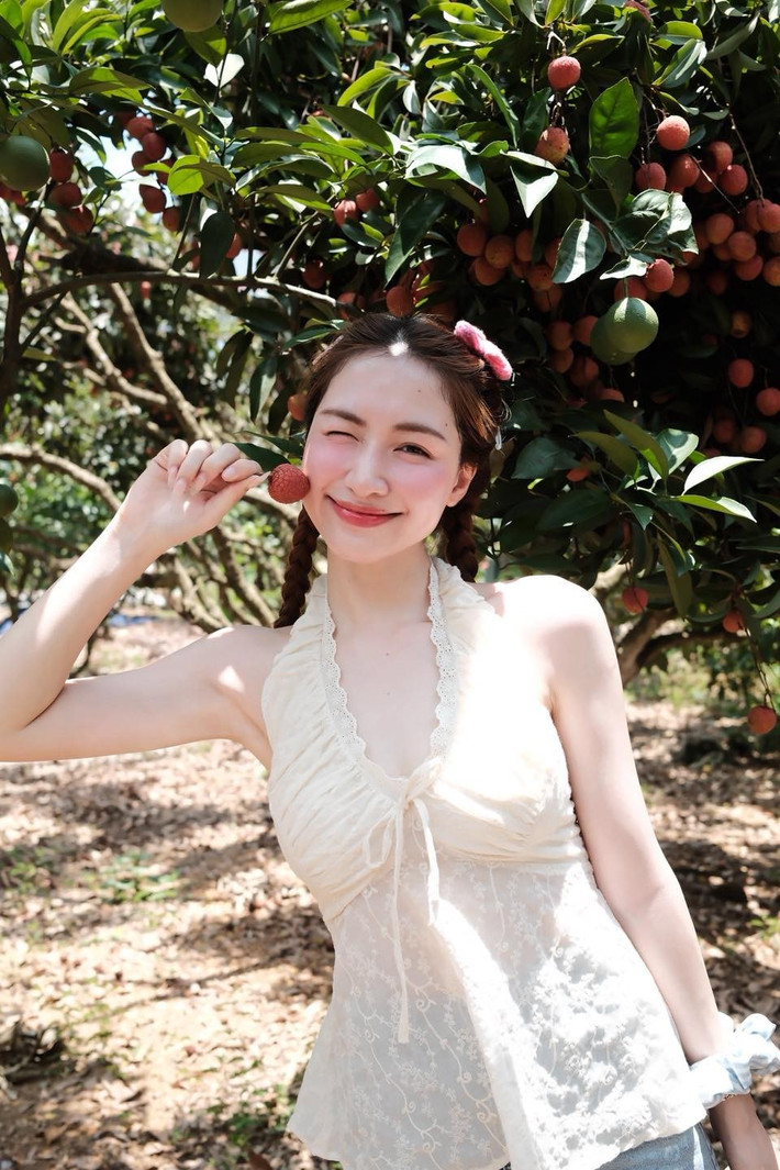 Khác với hình ảnh năng động, cá tính hay lộng lẫy trên sân khấu, Hòa Minzy mới đây vừa đốn tim người hâm mộ với loạt ảnh check-in giữa vườn vải với giao diện "cô thiếu nữ" vô cùng đáng yêu.