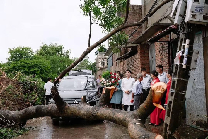 Trận bão đã để lại hậu quả là nhiều cây lớn bị đổ chắn ngang đường, tạo nên một khung cảnh khá "hoang tàn" ở vùng quê.