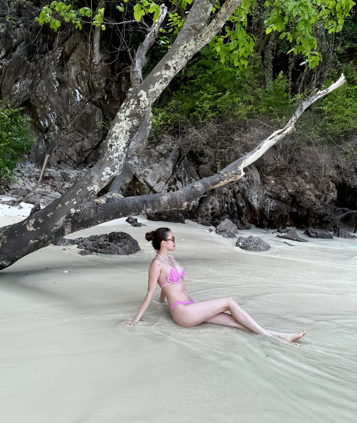 Thiều Bảo Trang được biết đến rộng rãi sau khi tham gia các chương trình âm nhạc lớn như Sao Mai điểm hẹn 2011 và Giọng hát Việt 2012.