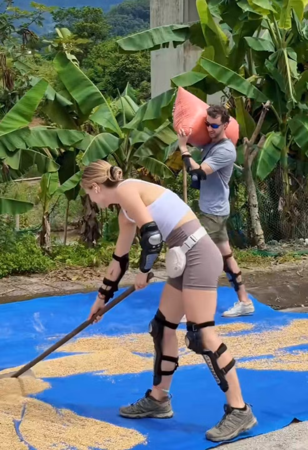 Hà Giang, với vẻ đẹp hùng vĩ của núi non và những thửa ruộng bậc thang trùng điệp, luôn là điểm đến hấp dẫn du khách quốc tế. Đặc biệt vào mùa lúa chín, khi khắp các sườn đồi được khoác lên mình màu vàng óng ả, du khách lại càng có cơ hội được hòa mình vào cuộc sống lao động của người dân bản địa, mang về những trải nghiệm vô cùng độc đáo và đáng nhớ.