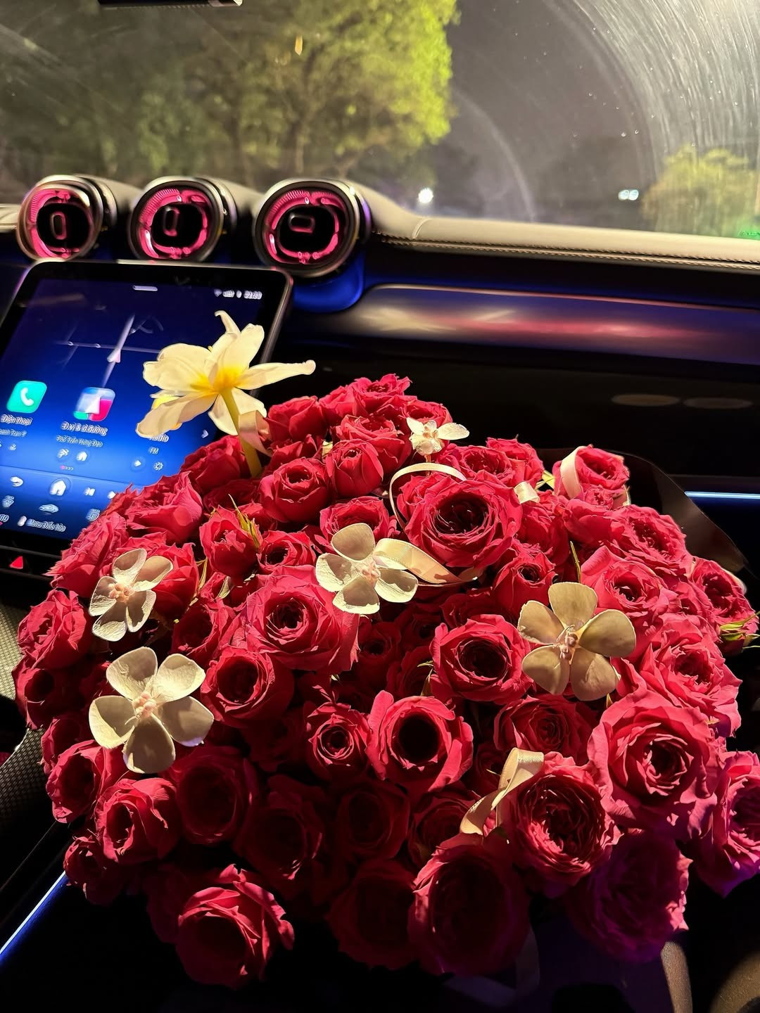 Ngay sau khi bài viết được đăng tải, rất đông bạn bè, đồng nghiệp và người hâm mộ đã để lại những lời chúc mừng hạnh phúc cho cặp đôi, thậm chí "thúc giục" cả hai nhanh chóng về chung một nhà.