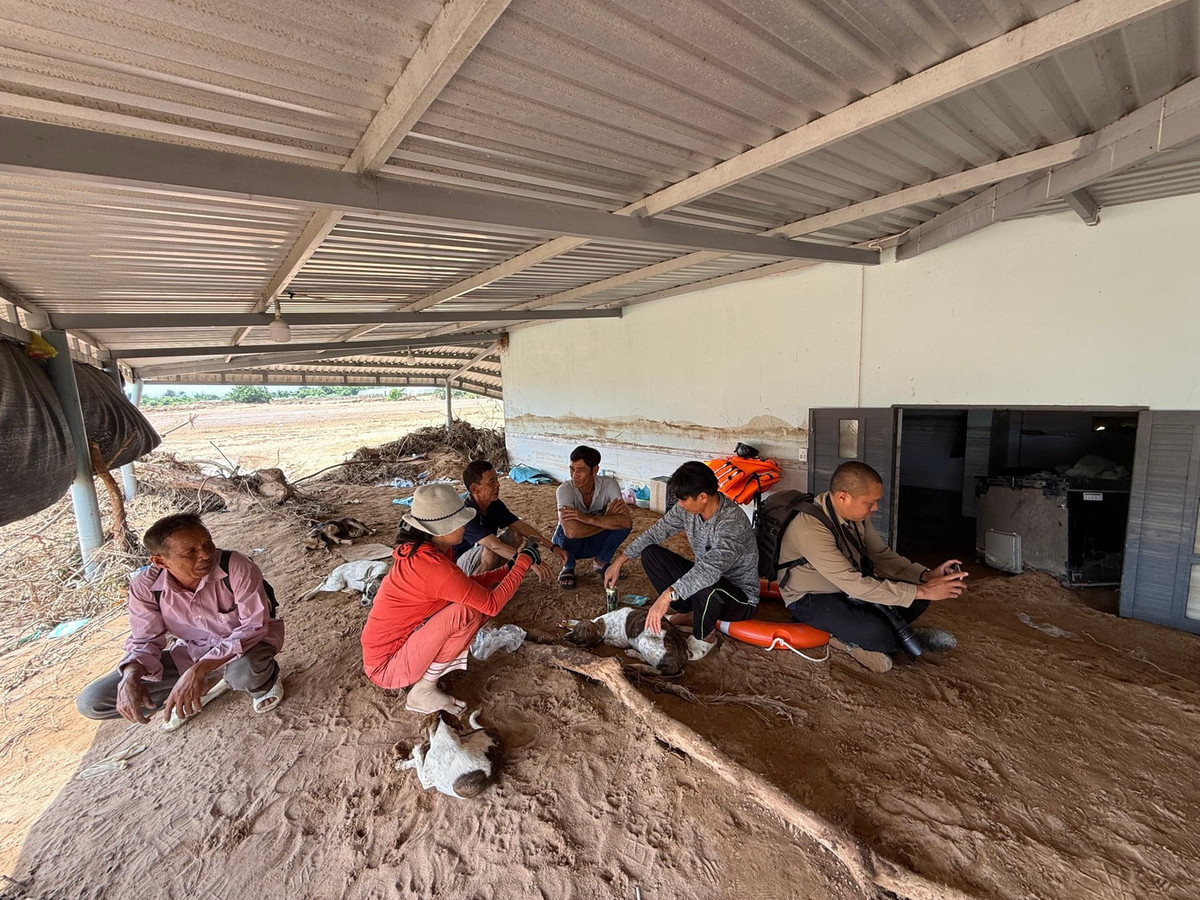 Theo UBND xã Tuy Phong, nguyên nhân ban đầu được cho là mưa lớn kéo dài tại khu vực đầu nguồn, kết hợp địa hình dốc và hệ thống tiêu thoát nước nhỏ, khiến nước từ các hồ chứa dồn nhanh gây ra vụ lũ quét nghiêm trọng.