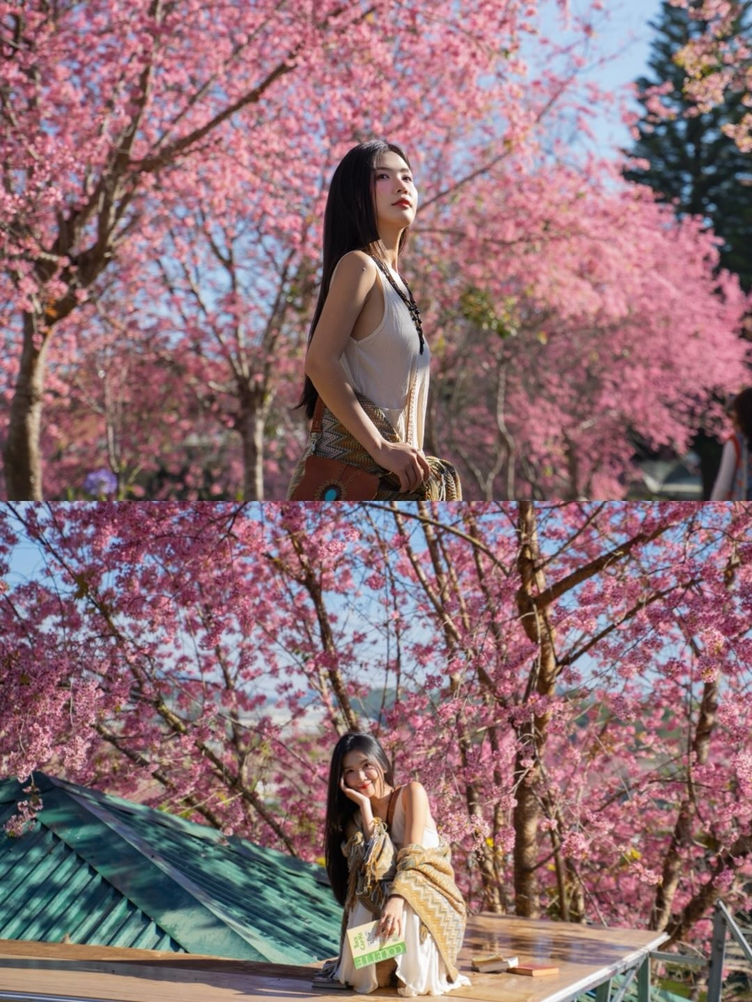 Dưới cái nắng dịu của mùa xuân, Lylychuu cùng sắc hoa mai anh đào đã tạo nên một bản giao hưởng màu sắc tuyệt đẹp, khiến bất cứ ai lướt qua cũng phải dừng lại để chiêm ngưỡng. (Ảnh: IGNV)