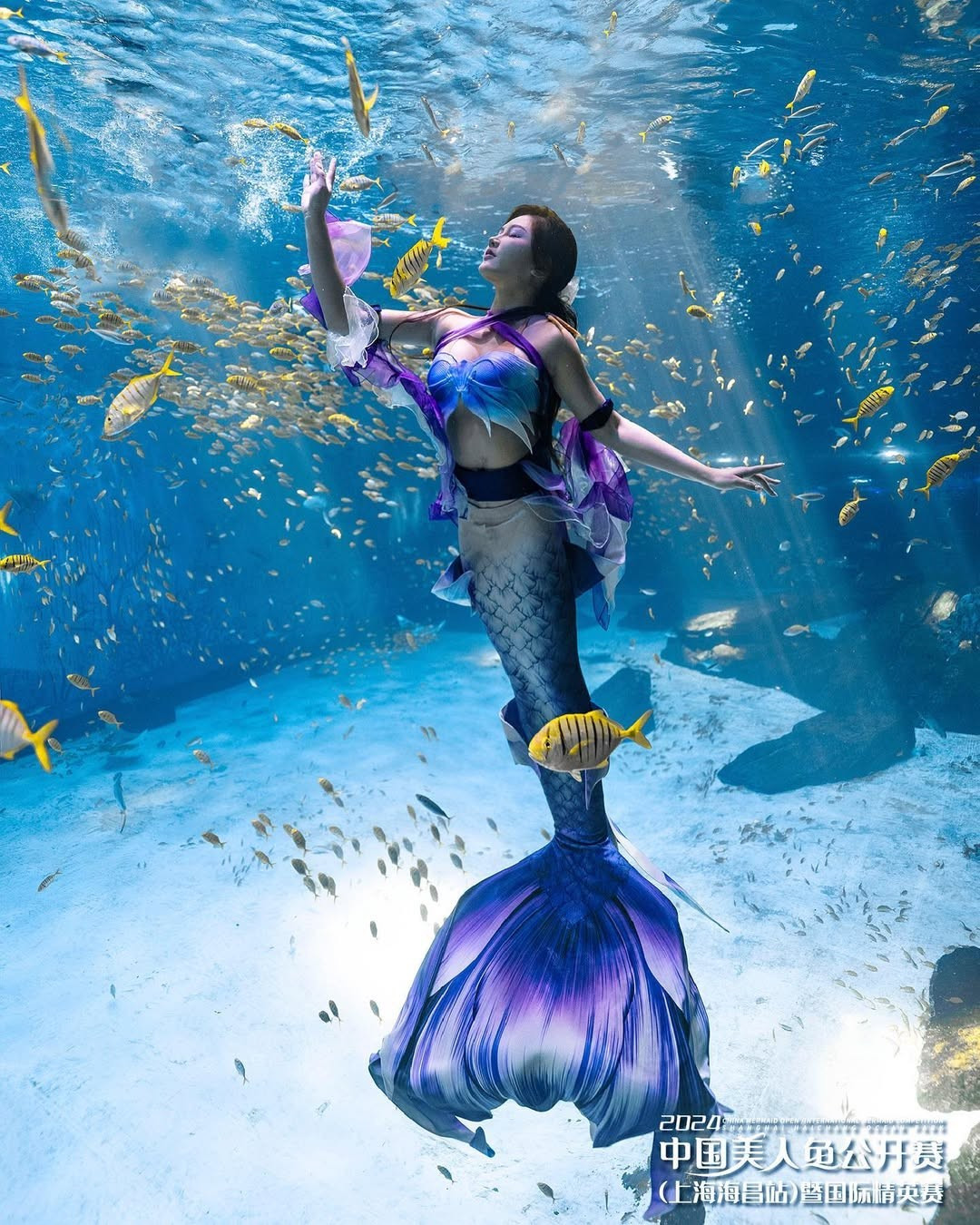 Những bức ảnh về Lỗ Hiểu Hy trong vai mỹ nhân ngư luôn thể hiện sự chuyên nghiệp và vẻ đẹp cuốn hút.