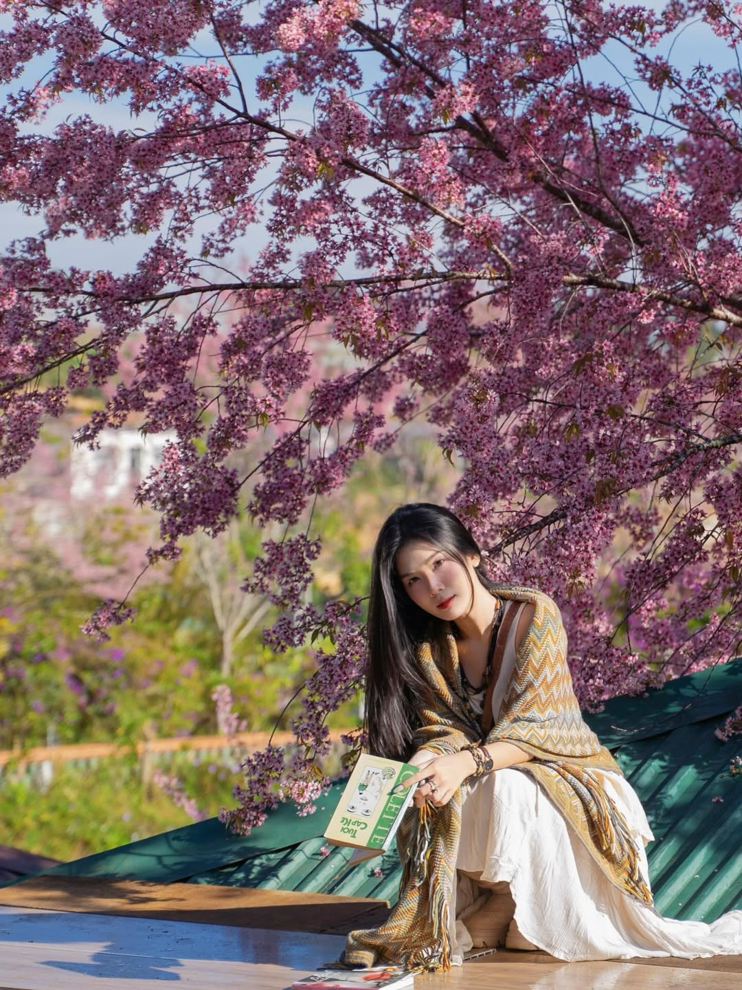 Nhiều người xem đã để lại những lời khen có cánh cho bộ ảnh này: "Đẹp như một thước phim điện ảnh", "Sắc hoa và người hòa làm một, thực sự rất mãn nhãn".(Ảnh: IGNV)