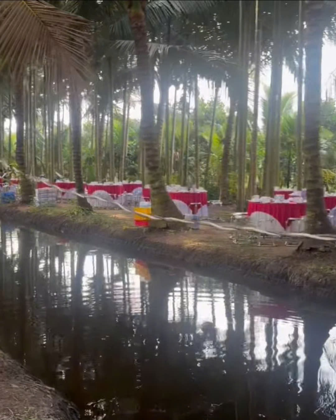 Không cần nhà hàng sang trọng hay khách sạn 5 sao, không gian xanh mướt, đậm chất miệt vườn này đã mang đến một trải nghiệm thị giác vô cùng thú vị và gần gũi.