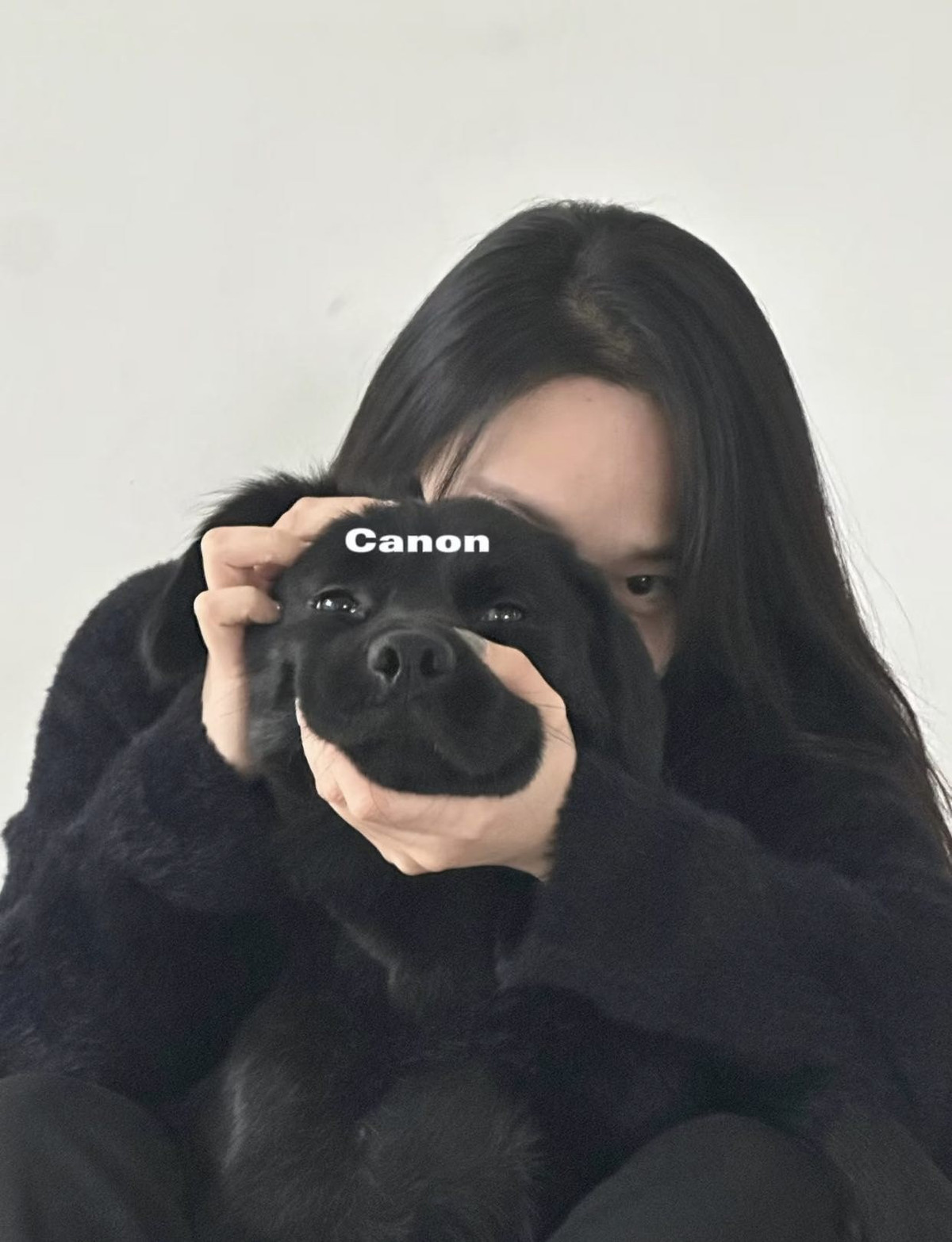 Thay vì khoe những chiếc máy ảnh đắt tiền của các hãng nổi tiếng như Canon hay Nikon, "Hội con sen" (cách gọi thân mật của những người nuôi thú cưng) gần đây đang rủ nhau đu trend khoe thú cưng của mình như một chiếc máy ảnh, biến những người bạn bốn chân của mình thành "model máy ảnh" độc đáo. (Ảnh: IGNV)