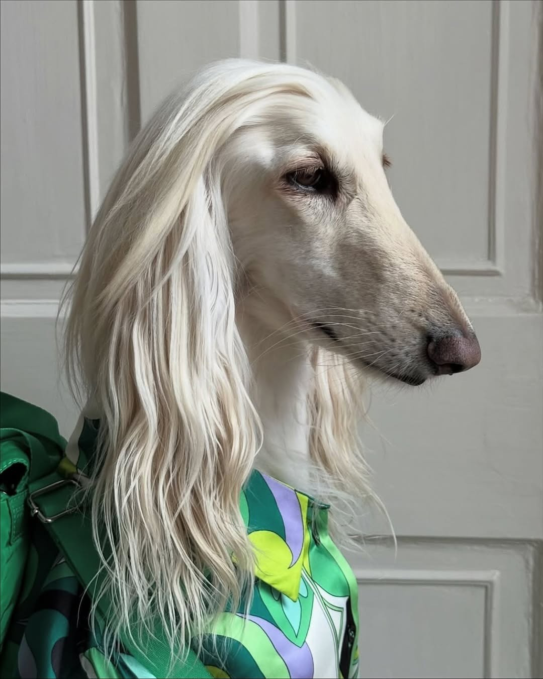 Chính ngoại hình này đã giúp Samantha dễ dàng chinh phục mọi phong cách, từ những bộ cánh "Old Money" thanh lịch đến phong cách sang chảnh được nhiều người ví von là "quý bà thành thị".