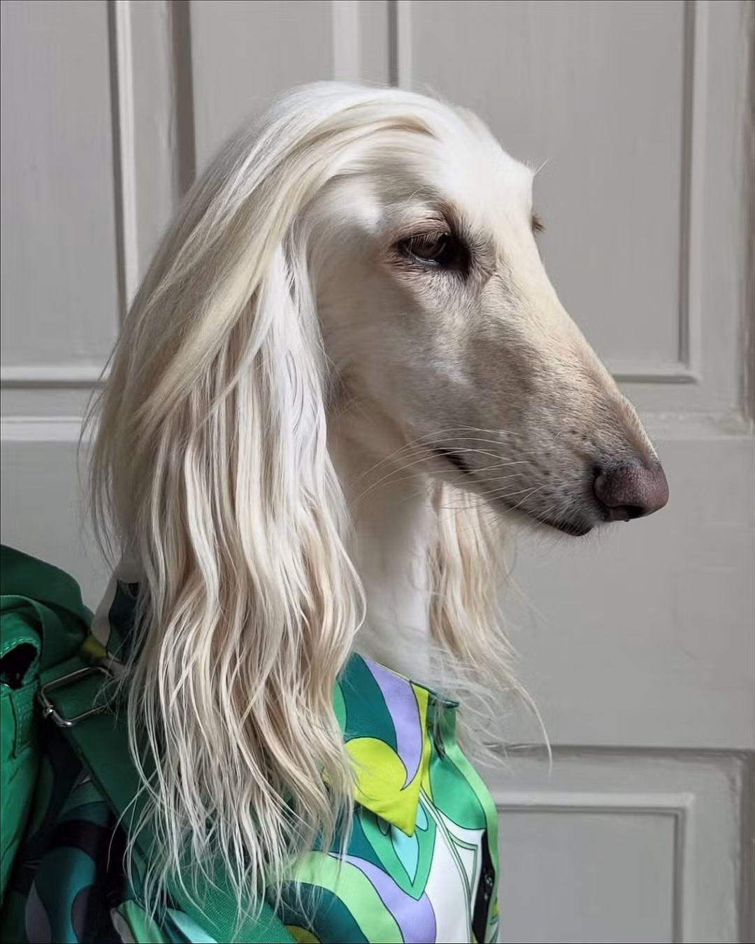 Chính ngoại hình này đã giúp Samantha dễ dàng chinh phục mọi phong cách, từ những bộ cánh "Old Money" thanh lịch đến phong cách sang chảnh được nhiều người ví von là "quý bà thành thị".