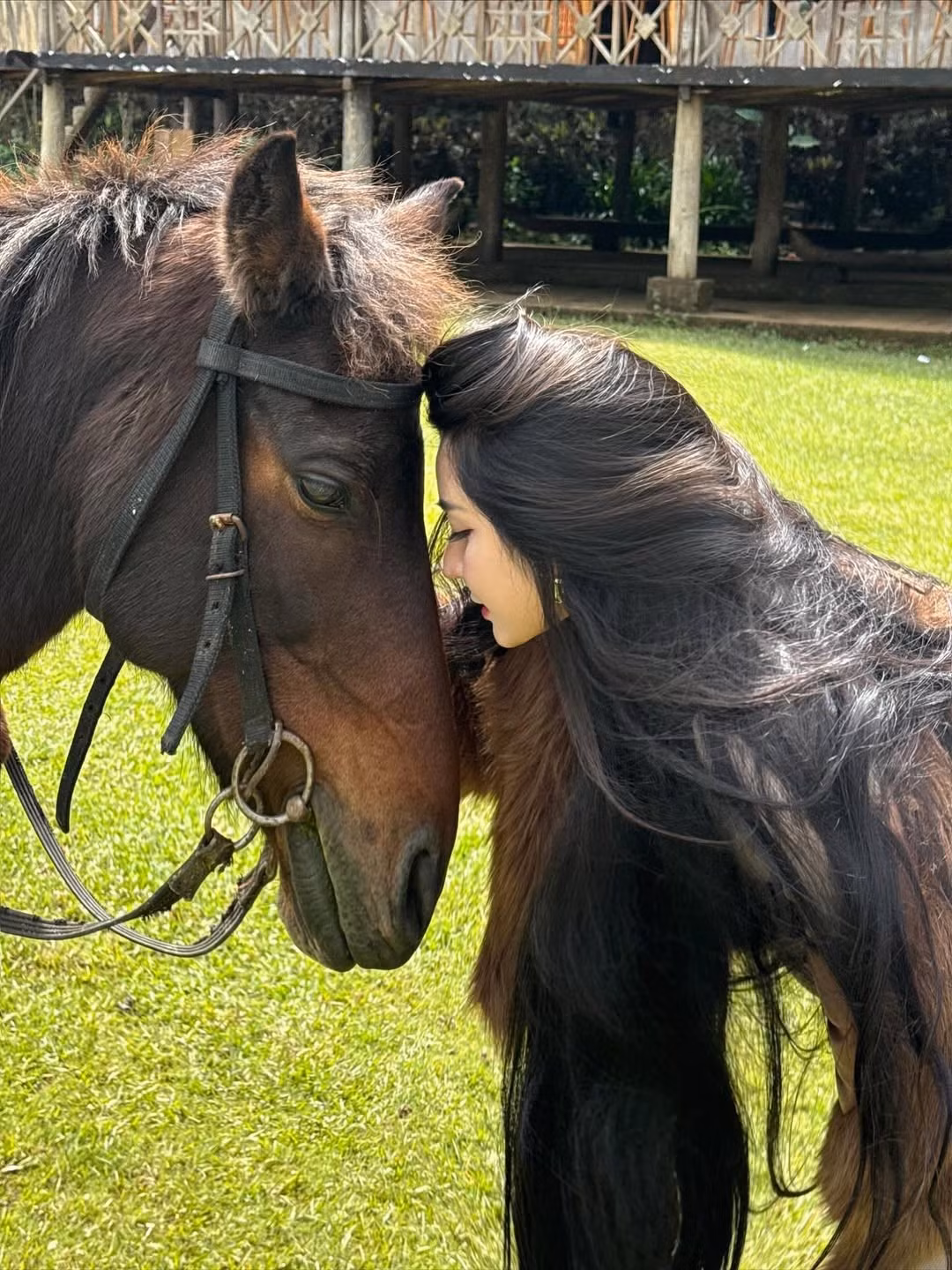 Không chỉ khoe dáng, Võ Ngọc Trân còn ghi lại những khoảnh khắc tương tác đầy tình cảm với chú ngựa, như tựa đầu và vuốt ve, tạo nên một sự kết nối bình yên và lãng mạn giữa người và vật, giữa mỹ nhân và thiên nhiên. (Ảnh: IGNV)
