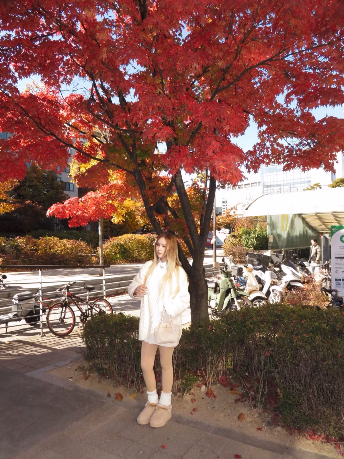 Xoài Non và Gil Lê đã công khai mối quan hệ từ giữa năm 2024 và nhanh chóng trở thành một trong những cặp đôi được giới trẻ yêu thích. (Ảnh: FBNV)