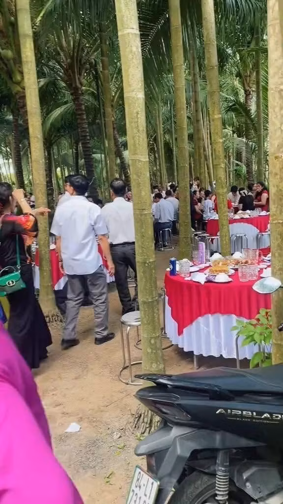 Ngay sau khi những hình ảnh này được đăng tải, cộng đồng mạng đã dành không ít lời khen ngợi cho ý tưởng của cô dâu chú rể. "Đây mới đúng chất đám cưới miền Tây, vừa mát mẻ lại vừa sang theo một cách rất riêng, không lẫn vào đâu được." - Một tài khoản Facebook bình luận.