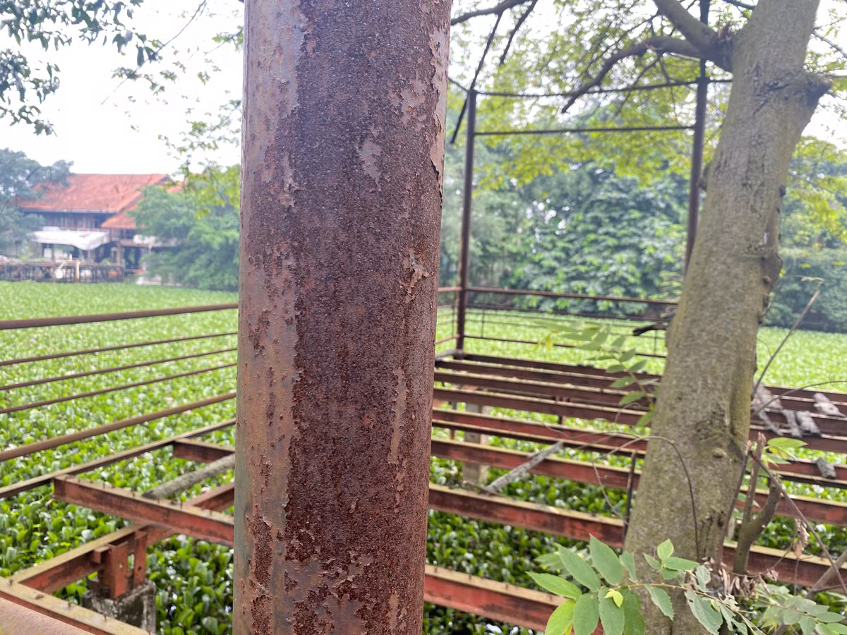 Cận cảnh một cột trụ sắt của công trình chòi nghỉ ven hồ đã bị oxy hóa nghiêm trọng. Lớp sơn bảo vệ bong tróc hoàn toàn, trơ ra bề mặt kim loại hoen gỉ, ăn mòn sâu.