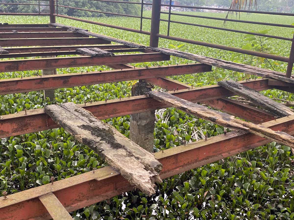 Hệ thống dầm sắt chịu lực bám đầy gỉ sét, trong khi các tấm ván gỗ lát sàn đã mục nát, gãy vụn và rơi rụng gần hết, để lộ ra những khoảng trống nguy hiểm.