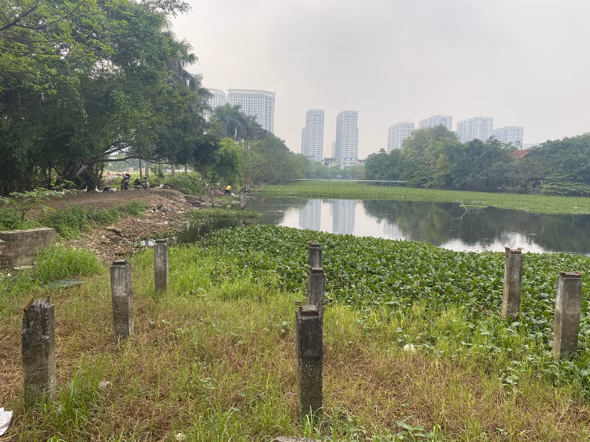 Hồ nước - vốn được kỳ vọng là điểm nhấn sinh thái - nay đã bị “bỏ quên”. Bèo và thực vật thủy sinh phát triển dày đặc, phủ kín mặt nước, khiến dòng chảy bị tù đọng.